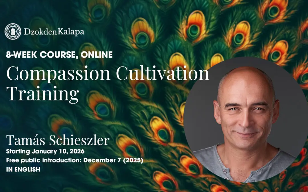 Compassion Cultivation Training