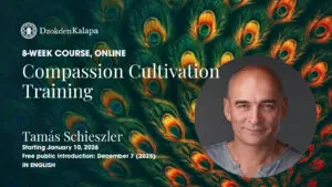 Compassion Cultivation Training with Tamas Schieszler; pic of him with elegant peacock background