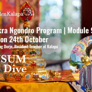 Banner announcing the Wensum course. Included a picture of the Kalachakra Temple, a small picture of Rafa Lobsang Dorje, and text description.