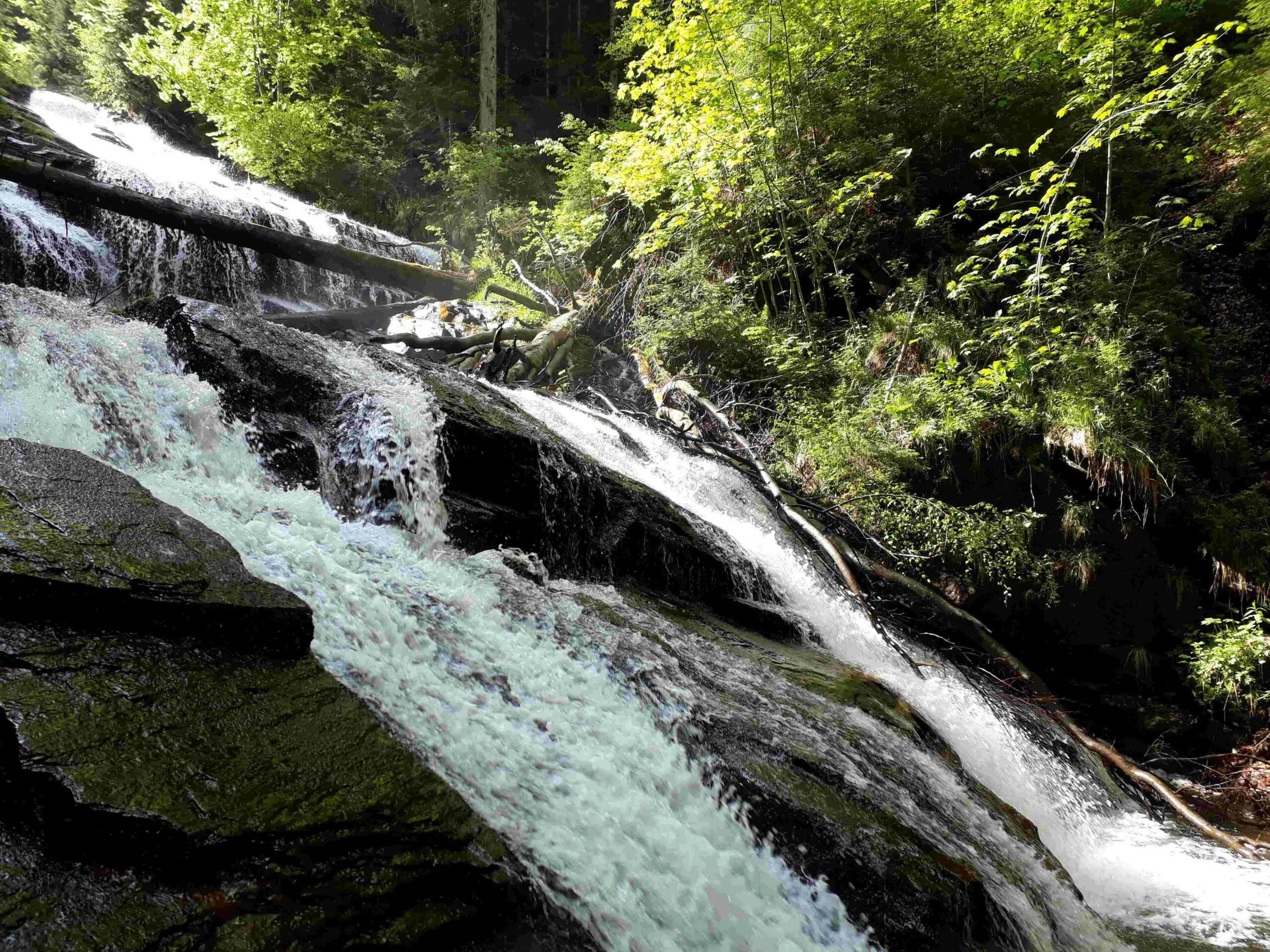 Sulm Waterfall pic taken by Dzokden Kalapa staff
